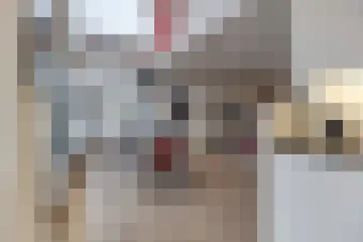 Scheldestraat 6 D Cadzand thumbnail 8