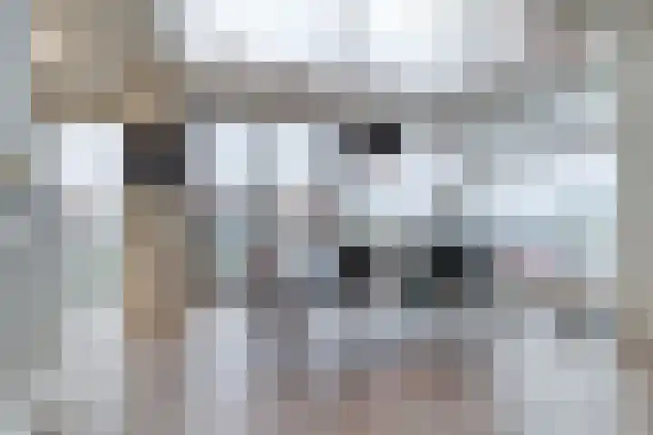 Scheldestraat 6 D Cadzand thumbnail 9