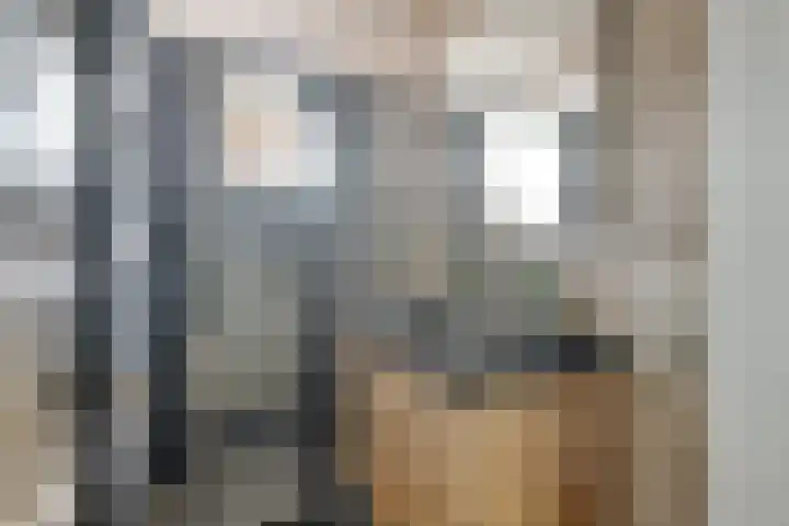 Scheldestraat 61 Purmerend thumbnail 5