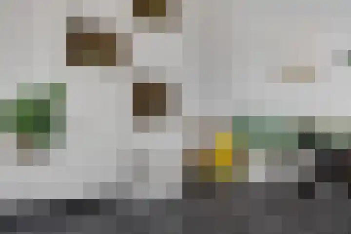 Scheldestraat 64 Alkmaar thumbnail 18