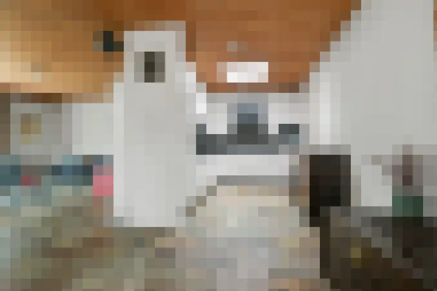 Scheldestraat 7 Heemskerk thumbnail 11