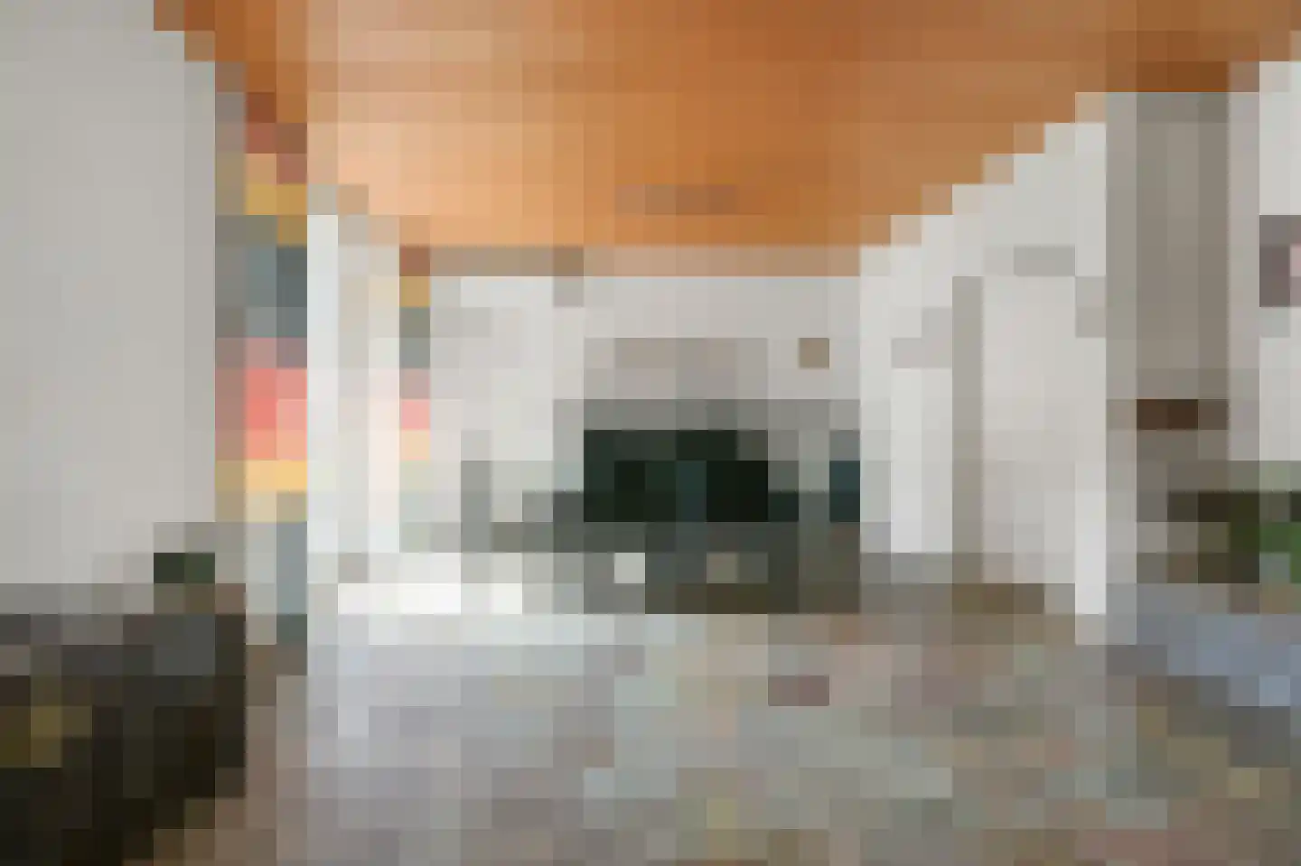 Scheldestraat 7 Heemskerk thumbnail 34