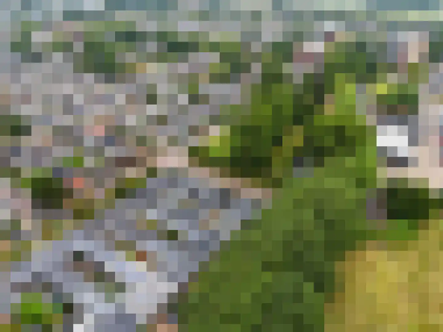 Scheldestraat 7 Heemskerk thumbnail 39