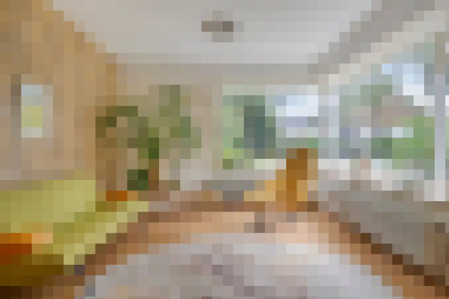 Scheldestraat 71 Assen thumbnail 11