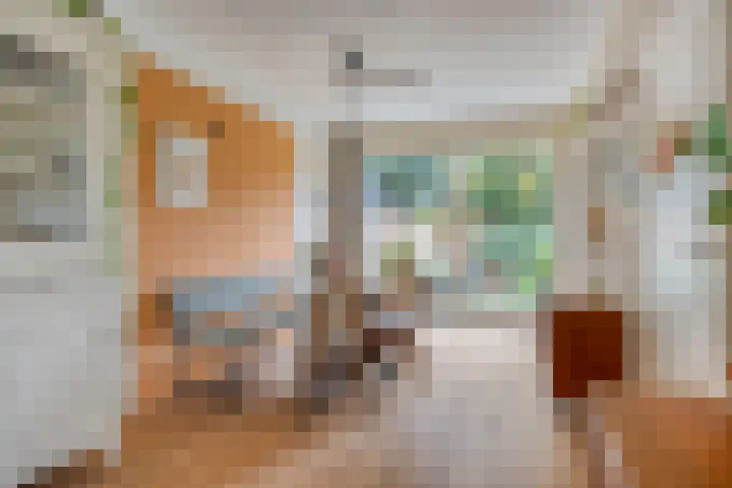Scheldestraat 71 Assen thumbnail 14