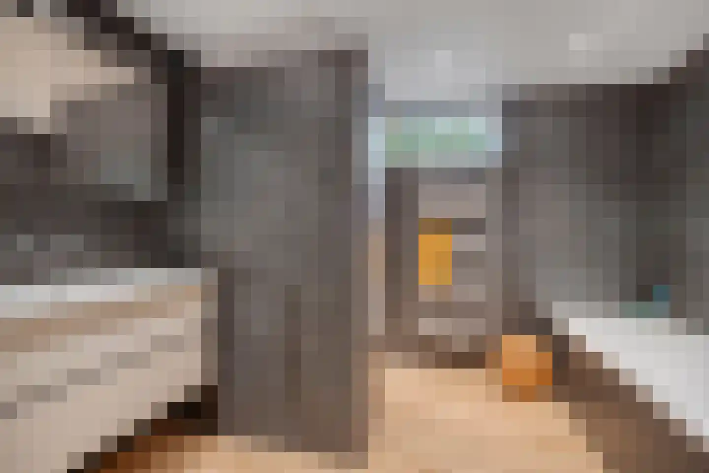Scheldestraat 71 Assen thumbnail 25