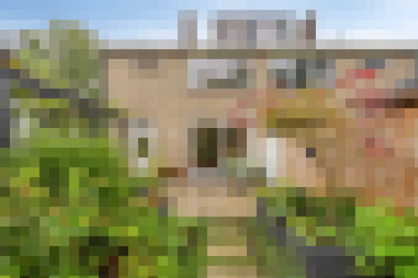 Scheldestraat 71 Assen thumbnail 39