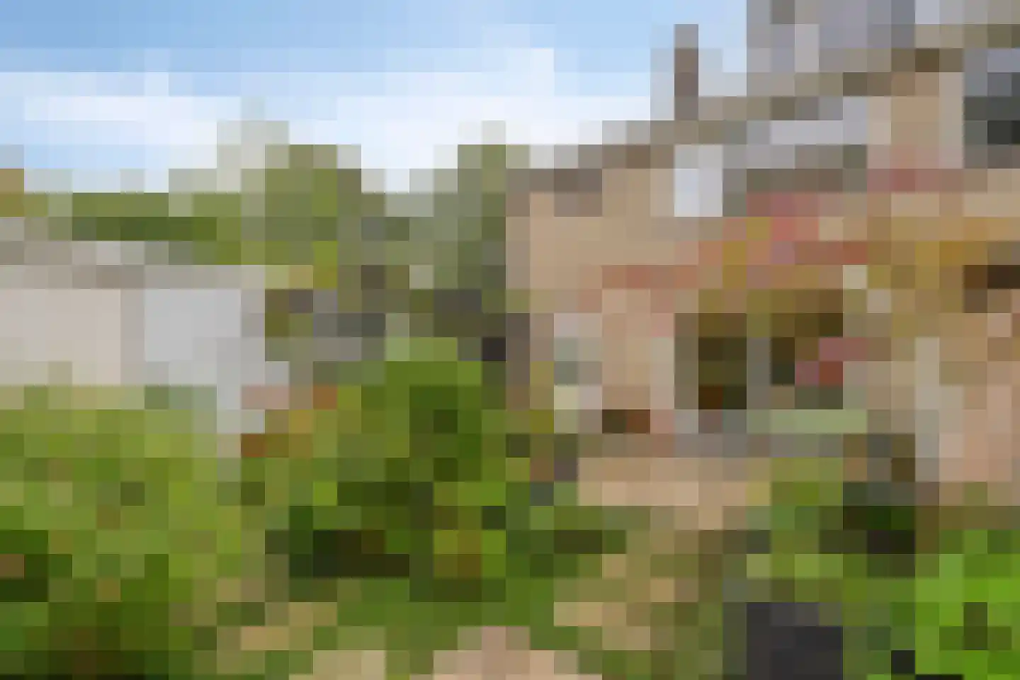 Scheldestraat 71 Assen thumbnail 40