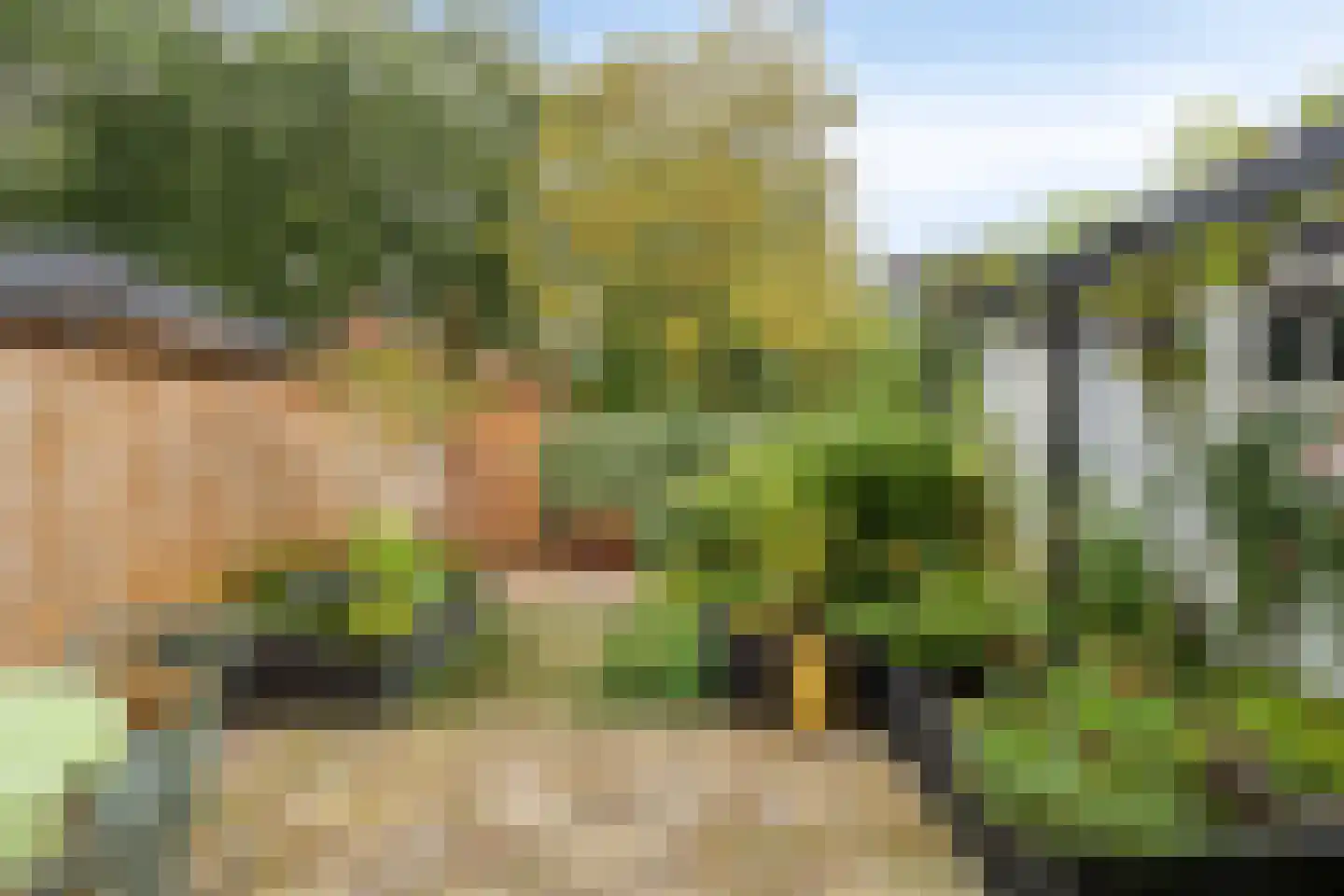 Scheldestraat 71 Assen thumbnail 5