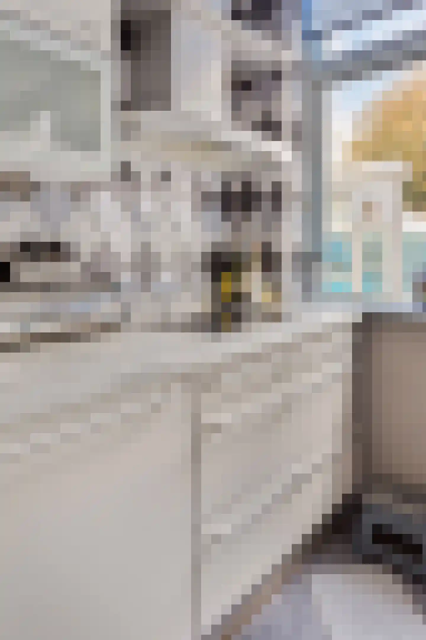 Scheldestraat 71 Den Haag thumbnail 15