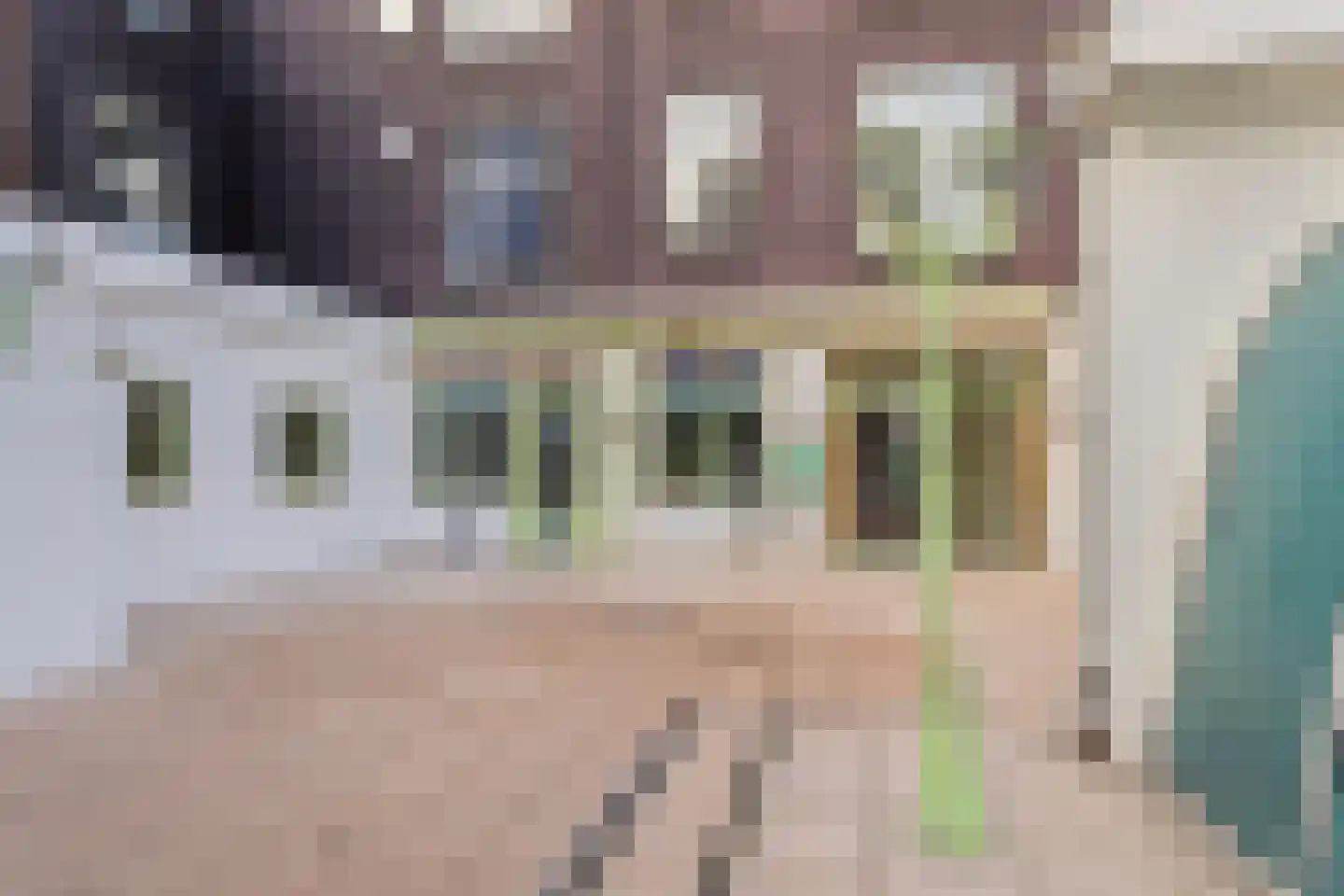 Scheldestraat 71 Den Haag thumbnail 43