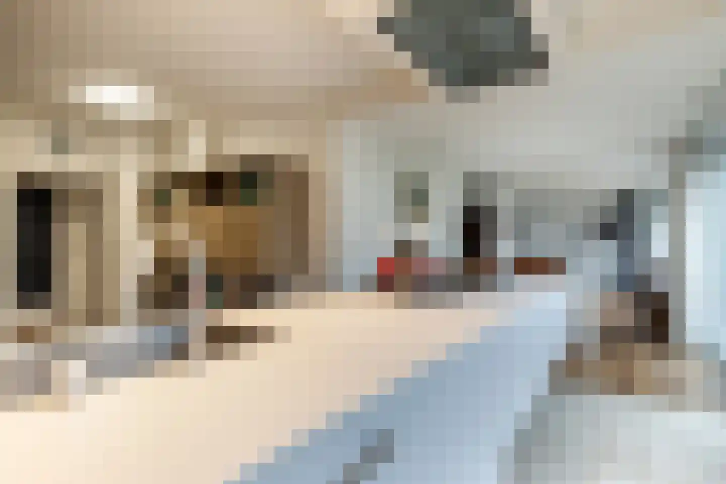 Scheldestraat 73 Assen thumbnail 31