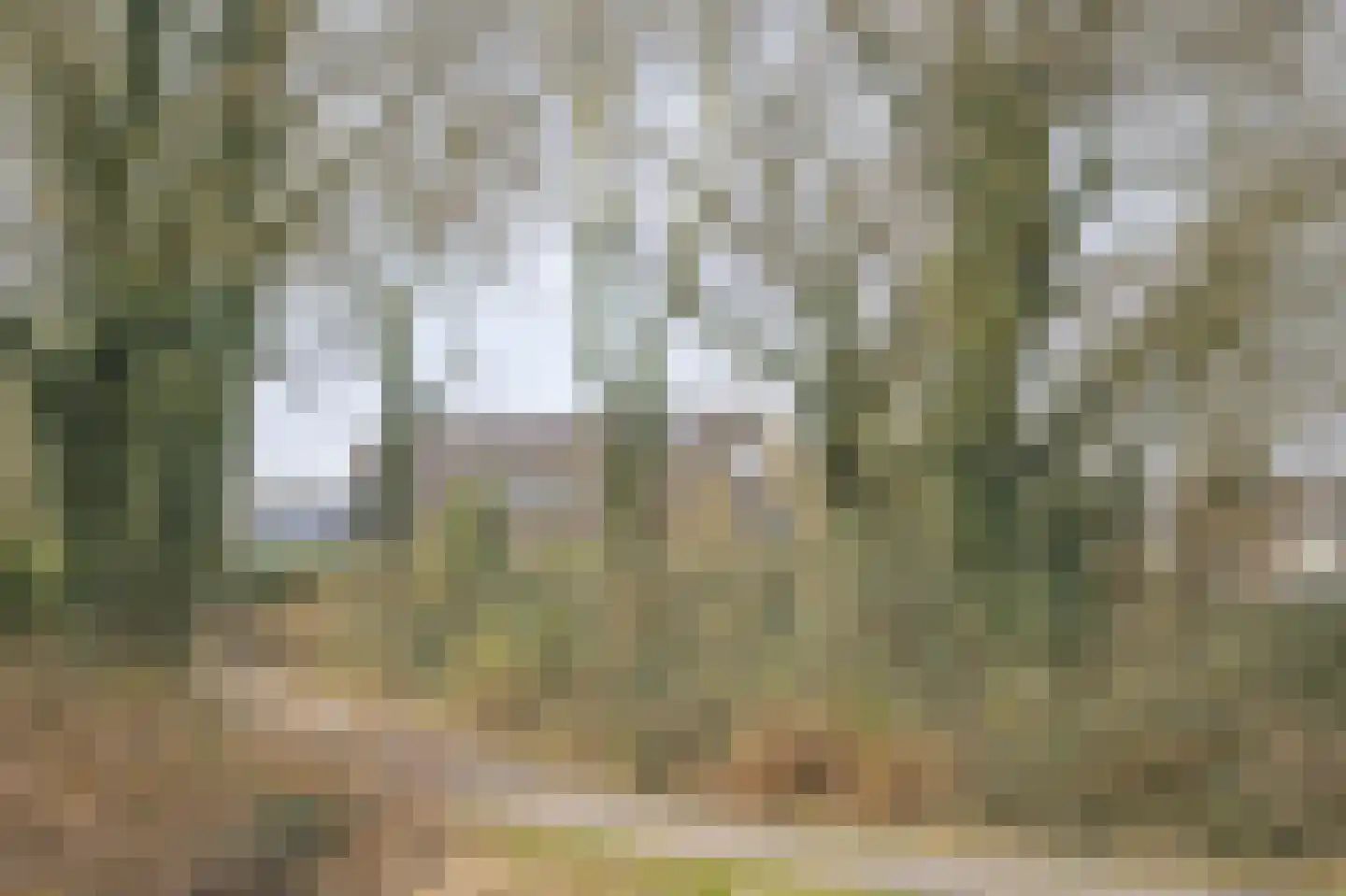 Scheldestraat 73 Assen thumbnail 4