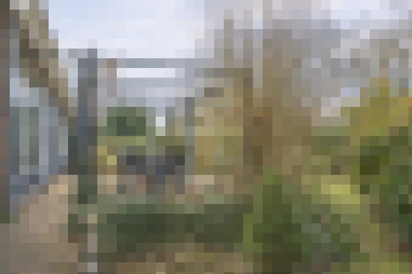 Scheldestraat 73 Assen thumbnail 74