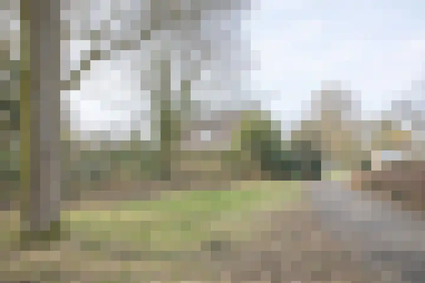 Scheldestraat 73 Assen thumbnail 80