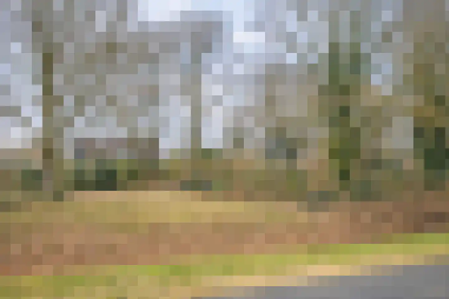 Scheldestraat 73 Assen thumbnail 83