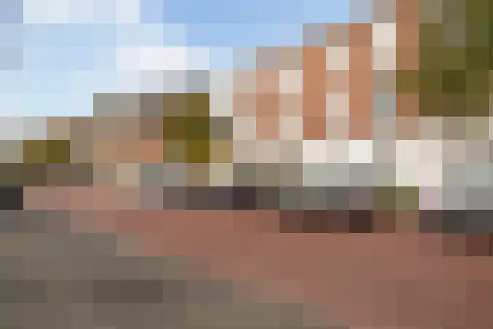 Scheldestraat 77 Den Haag thumbnail 36