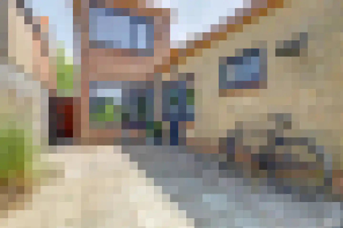 Scheldestraat 77 Goes thumbnail 29
