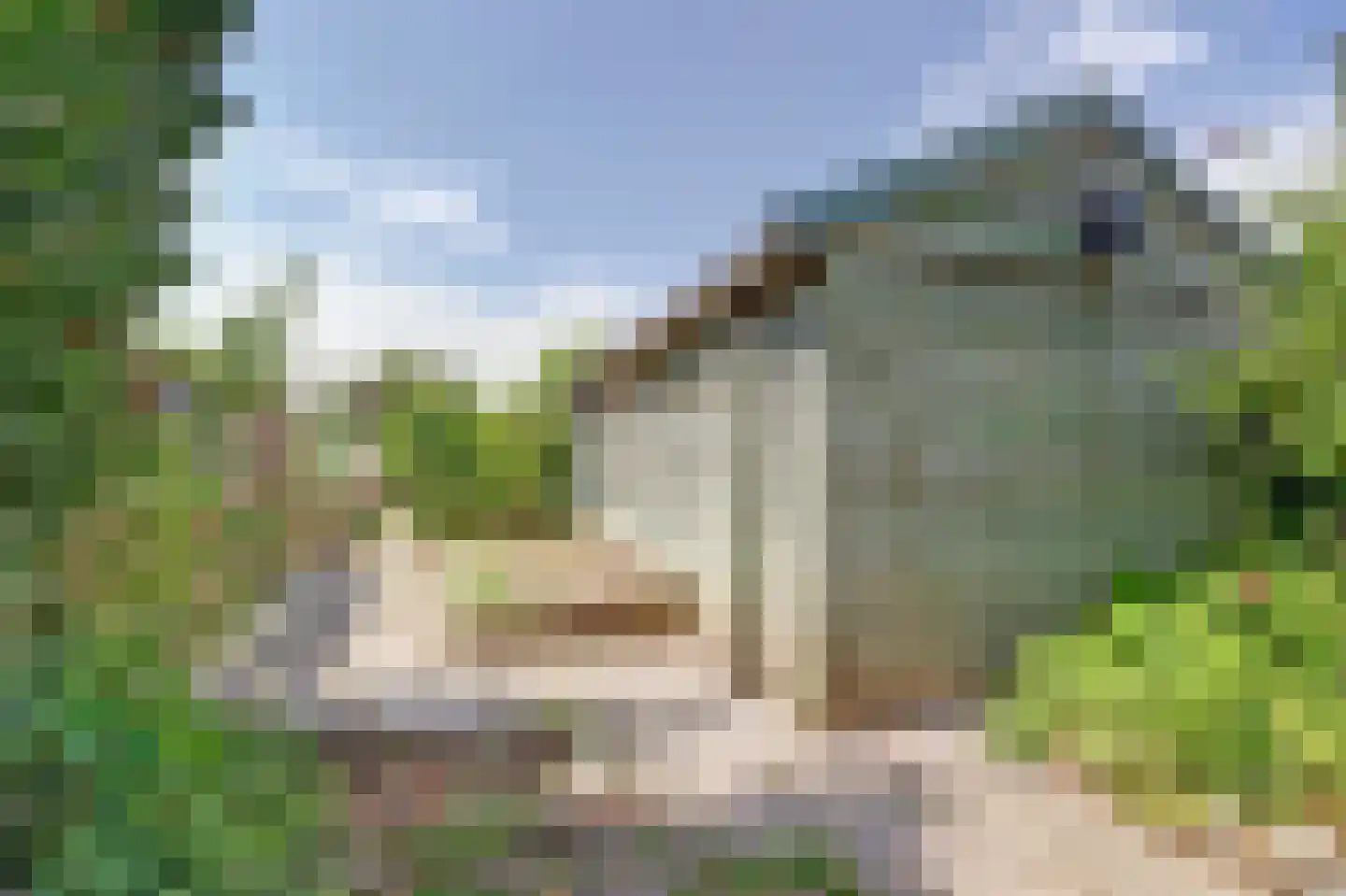 Scheldestraat 77 Goes thumbnail 30