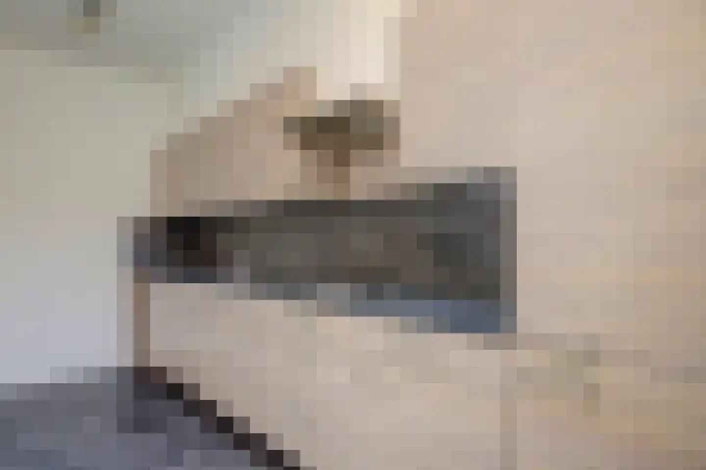 Scheldestraat 77 Goes thumbnail 8
