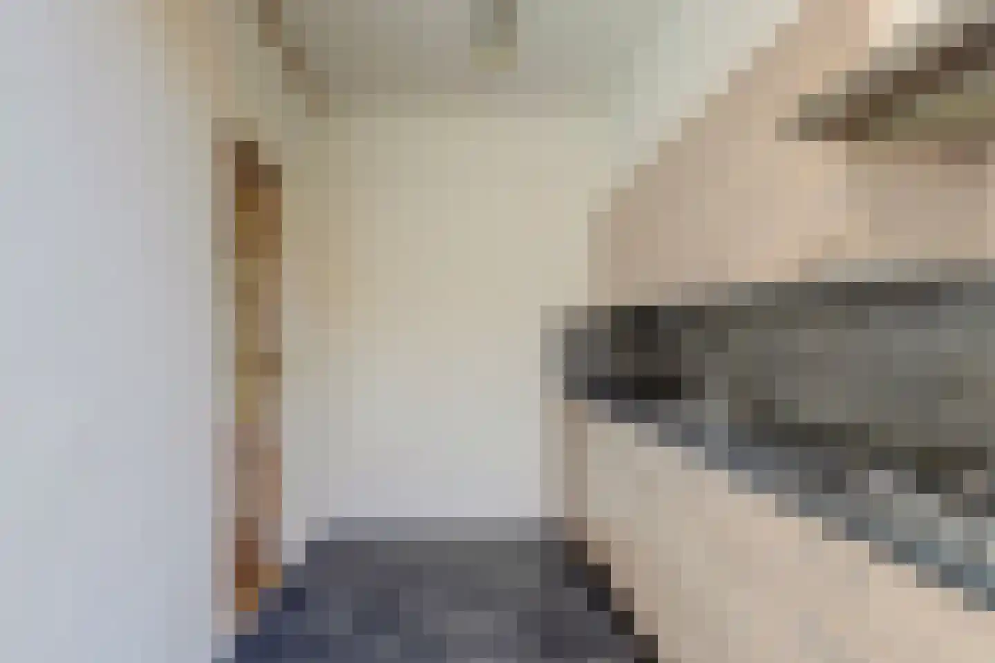 Scheldestraat 77 Goes thumbnail 9