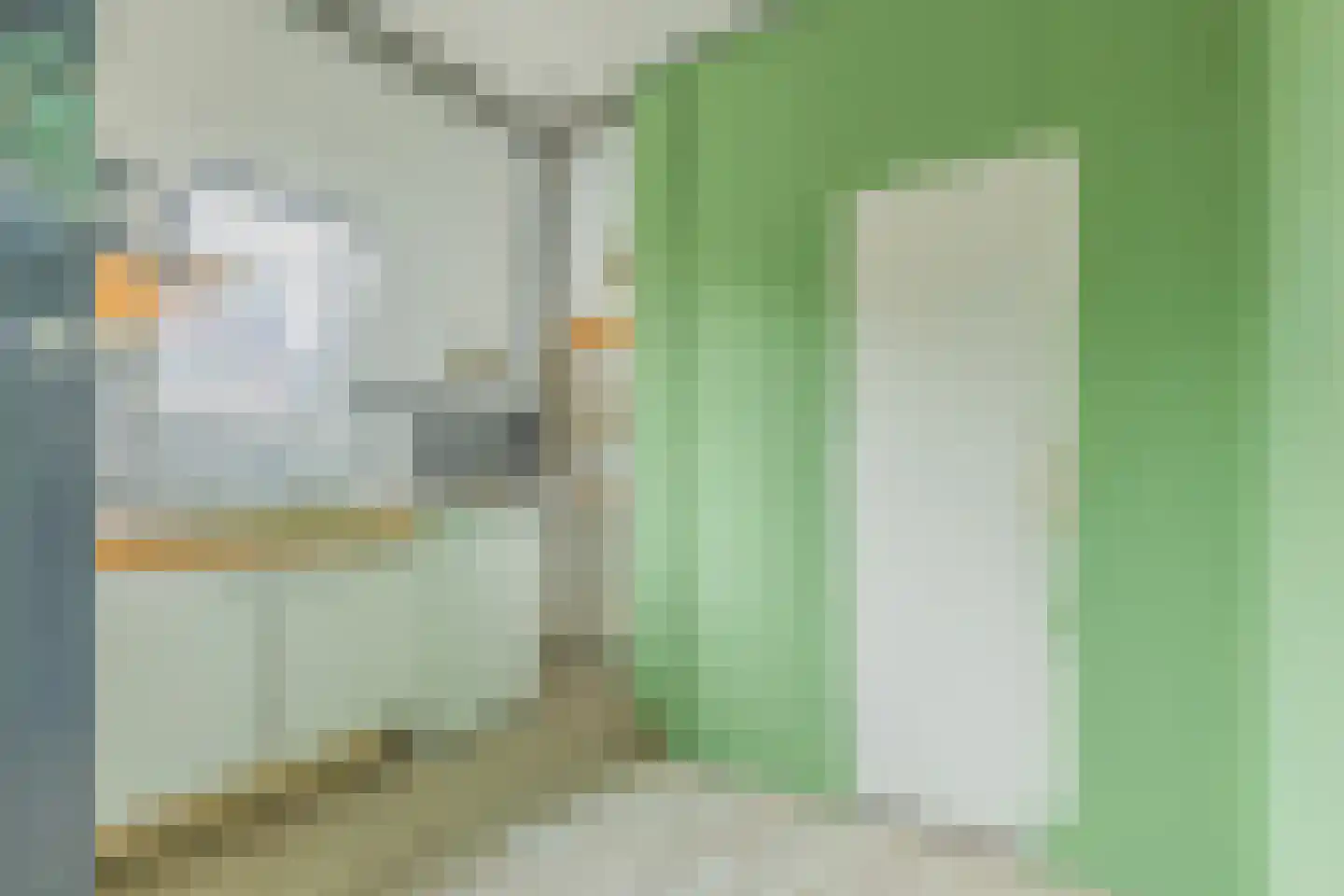 Scheldestraat 79 Vlissingen thumbnail 10