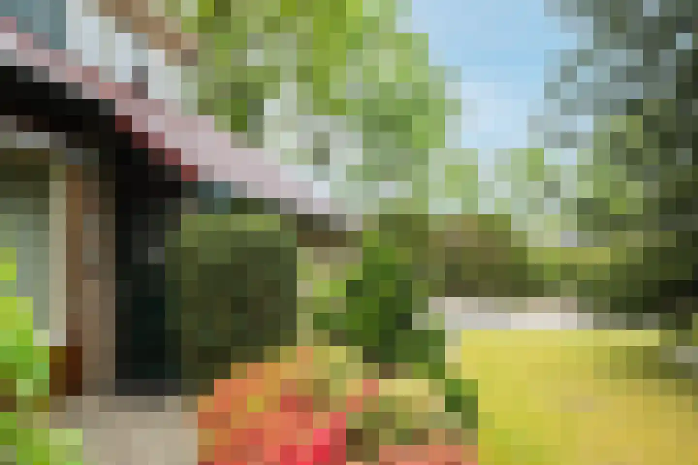 Scheldestraat 81 Assen thumbnail 15