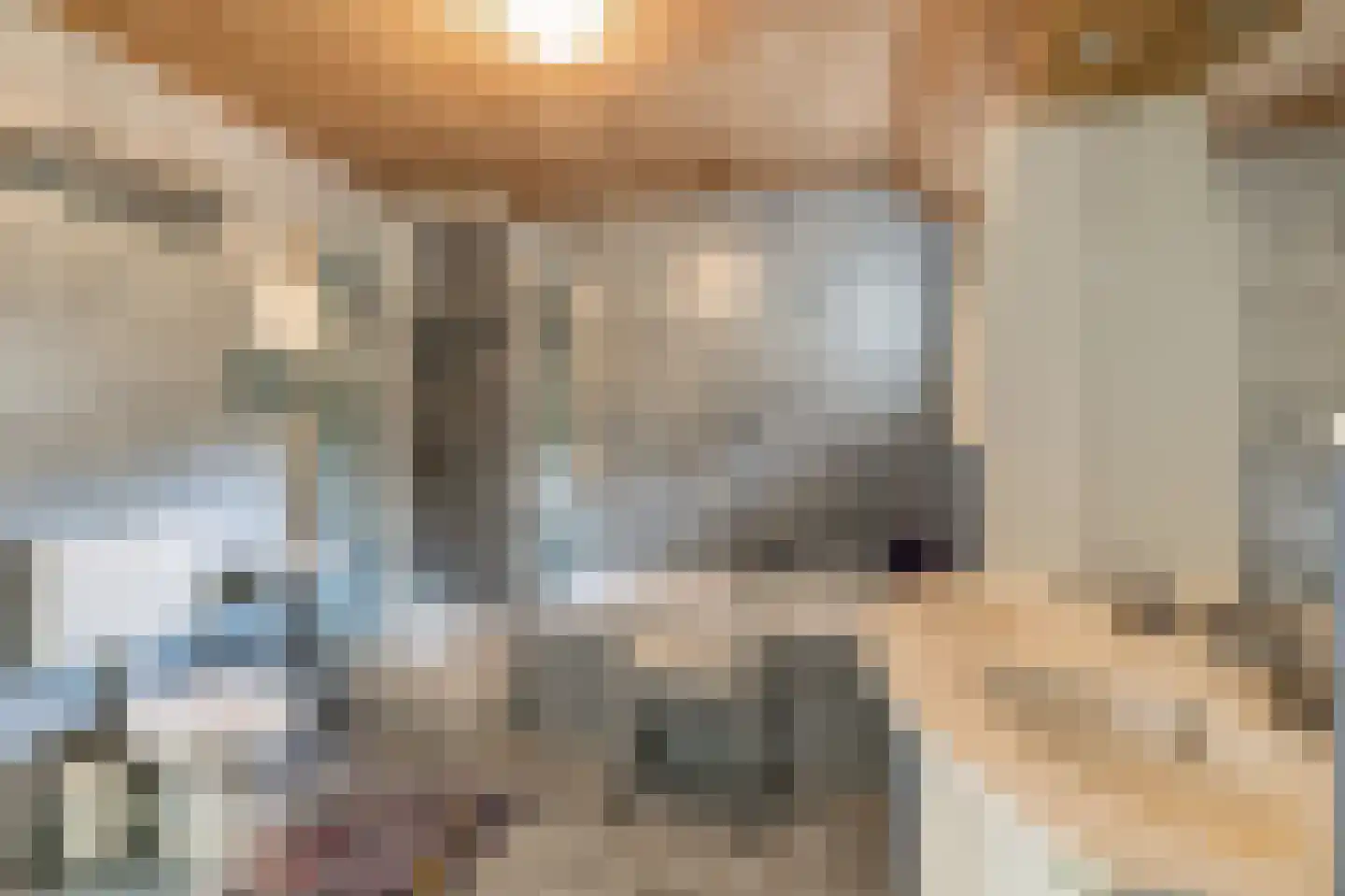 Scheldestraat 81 Assen thumbnail 34
