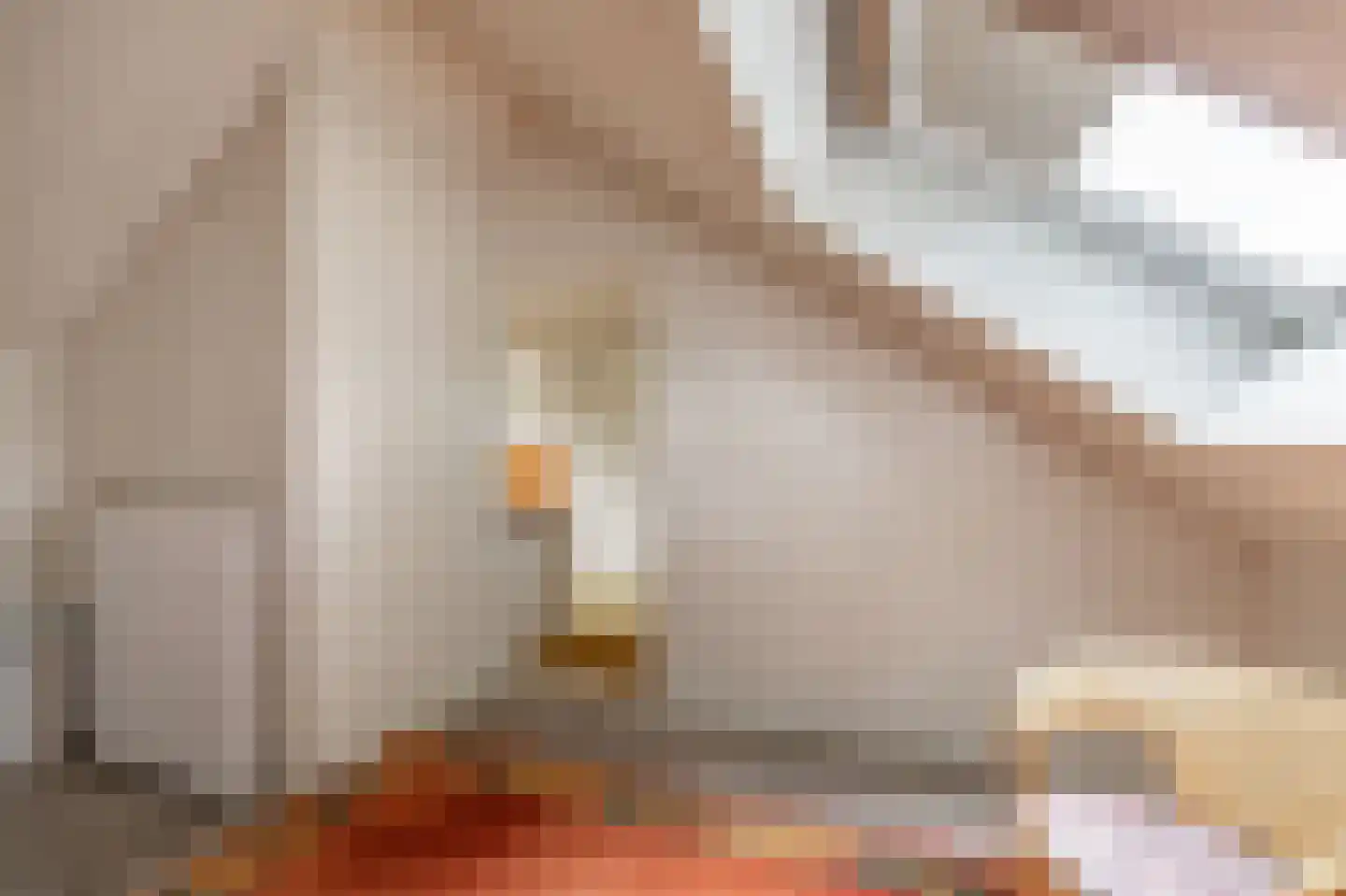 Scheldestraat 81 Assen thumbnail 46