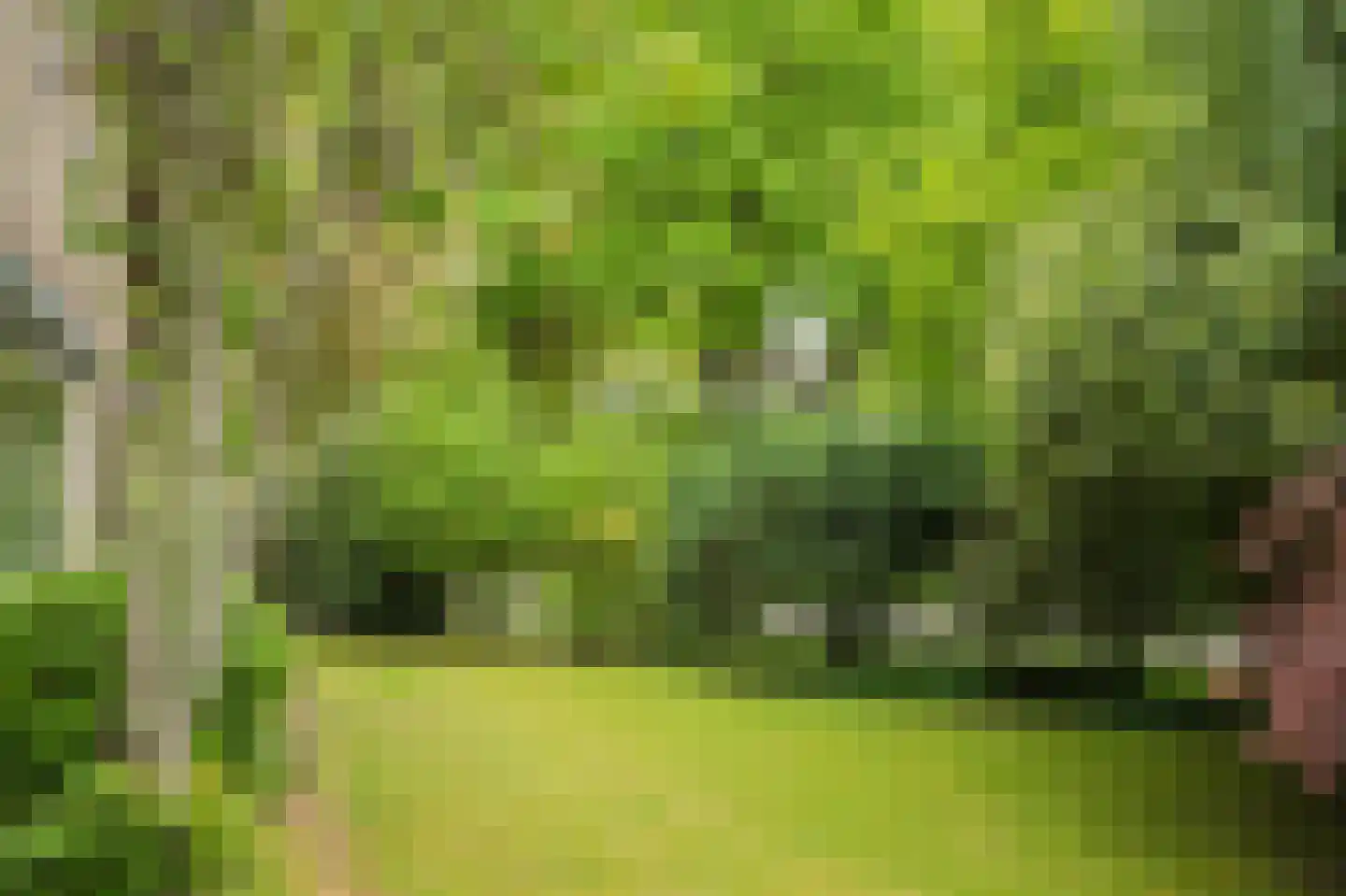 Scheldestraat 81 Assen thumbnail 9