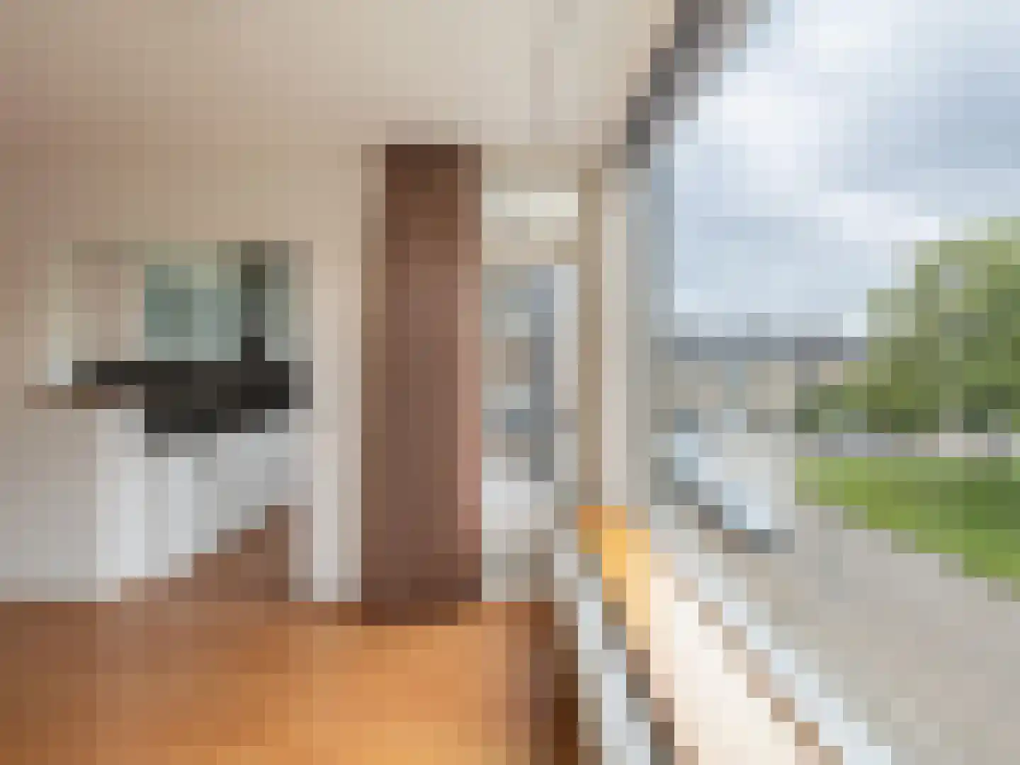 Scheldestraat 81 Barendrecht thumbnail 13
