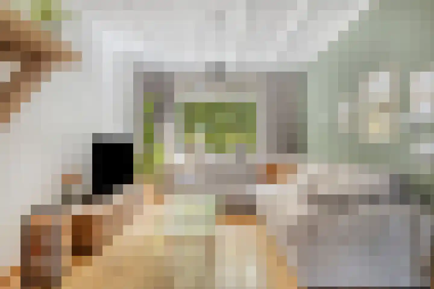 Scheldestraat 95 Goes thumbnail 13