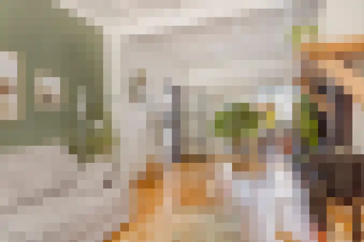 Scheldestraat 95 Goes thumbnail 14
