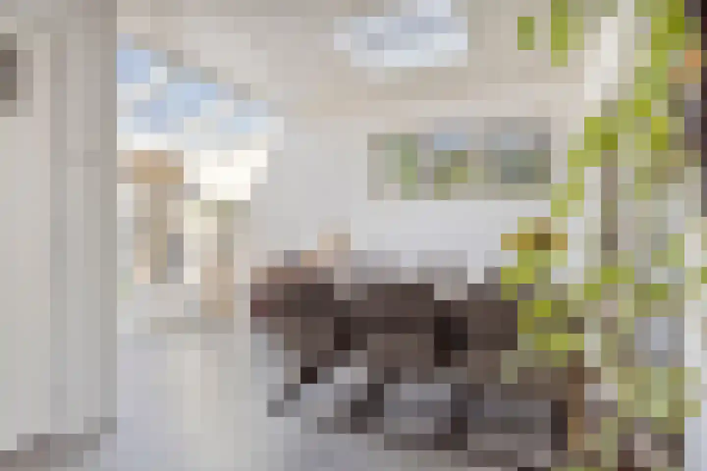 Scheldestraat 95 Goes thumbnail 17