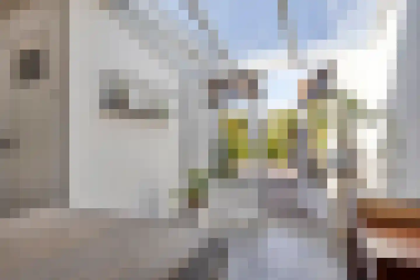 Scheldestraat 95 Goes thumbnail 19