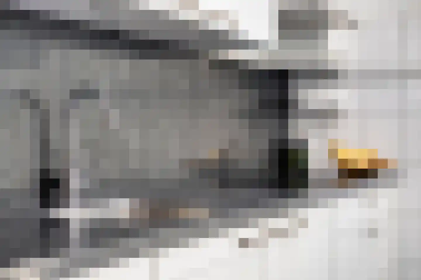 Scheldestraat 95 Goes thumbnail 24