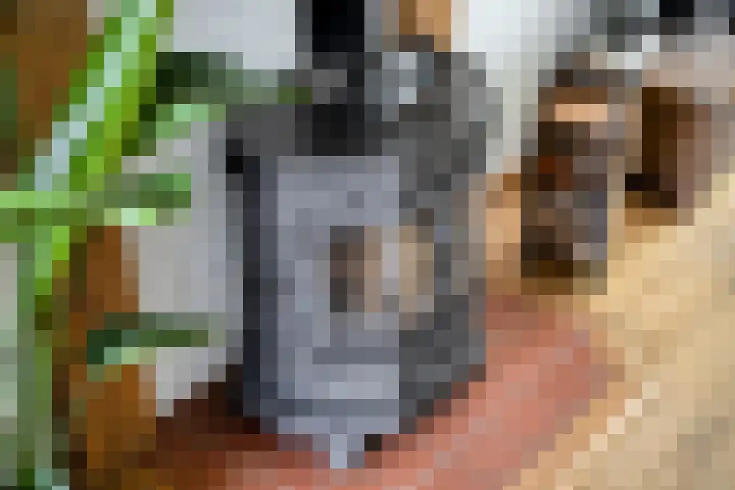 Scheldestraat 95 Goes thumbnail 26