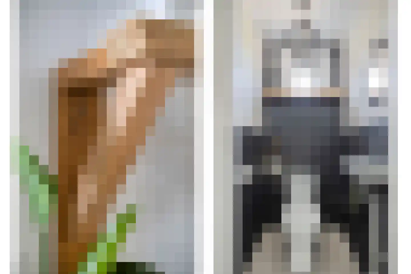 Scheldestraat 95 Goes thumbnail 27