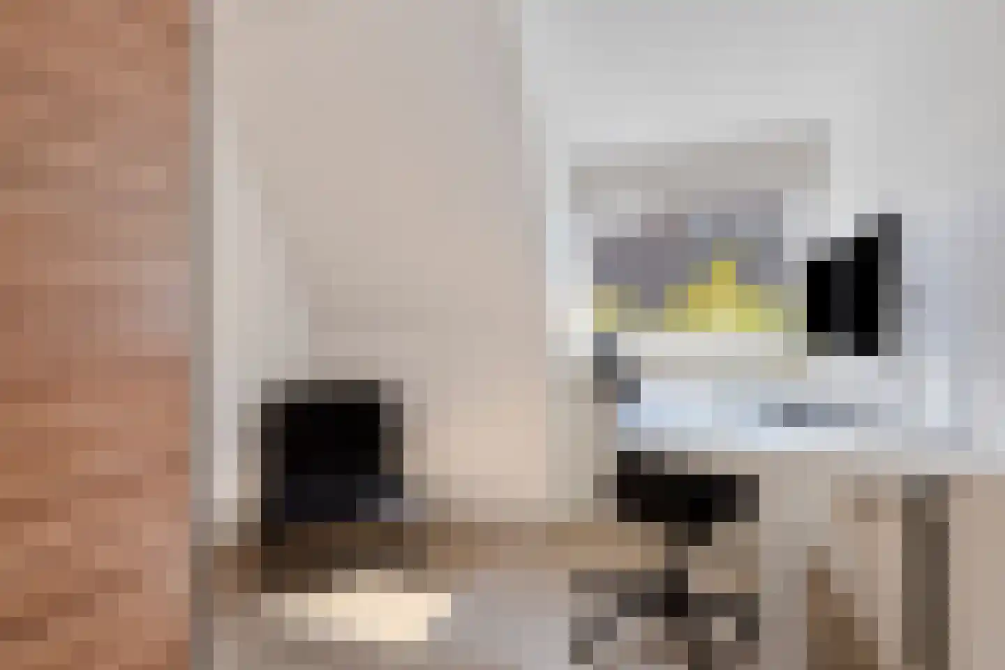 Scheldestraat 95 Goes thumbnail 34