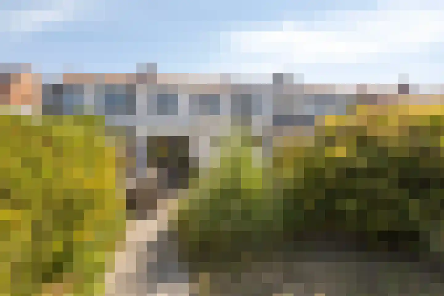 Scheldestraat 95 Goes thumbnail 4
