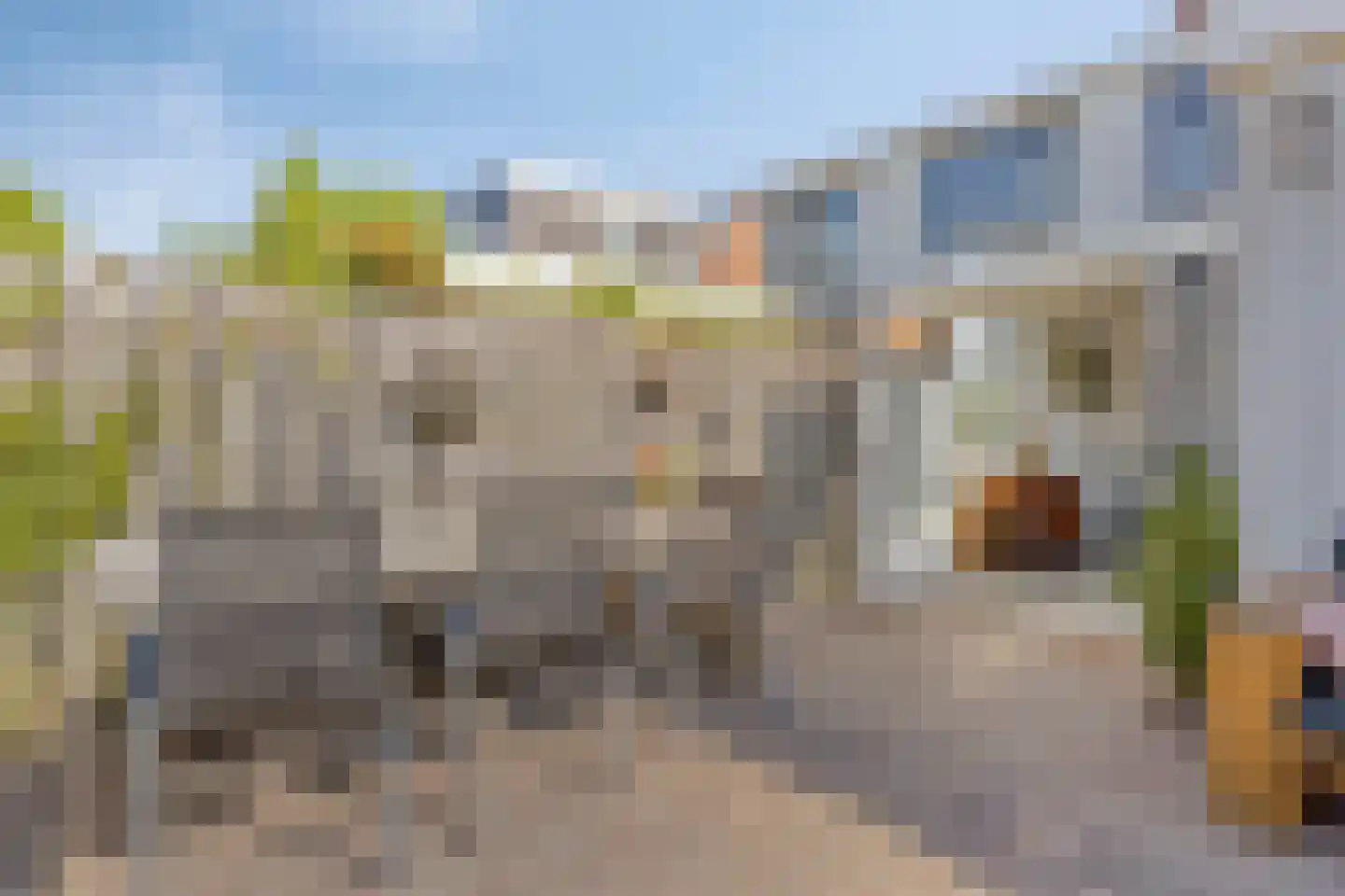 Scheldestraat 95 Goes thumbnail 40