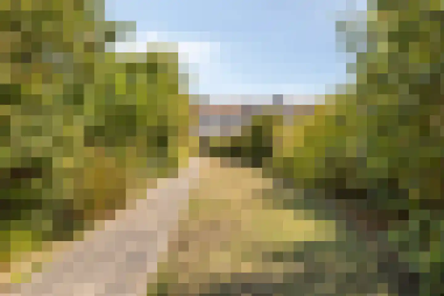 Scheldestraat 95 Goes thumbnail 45