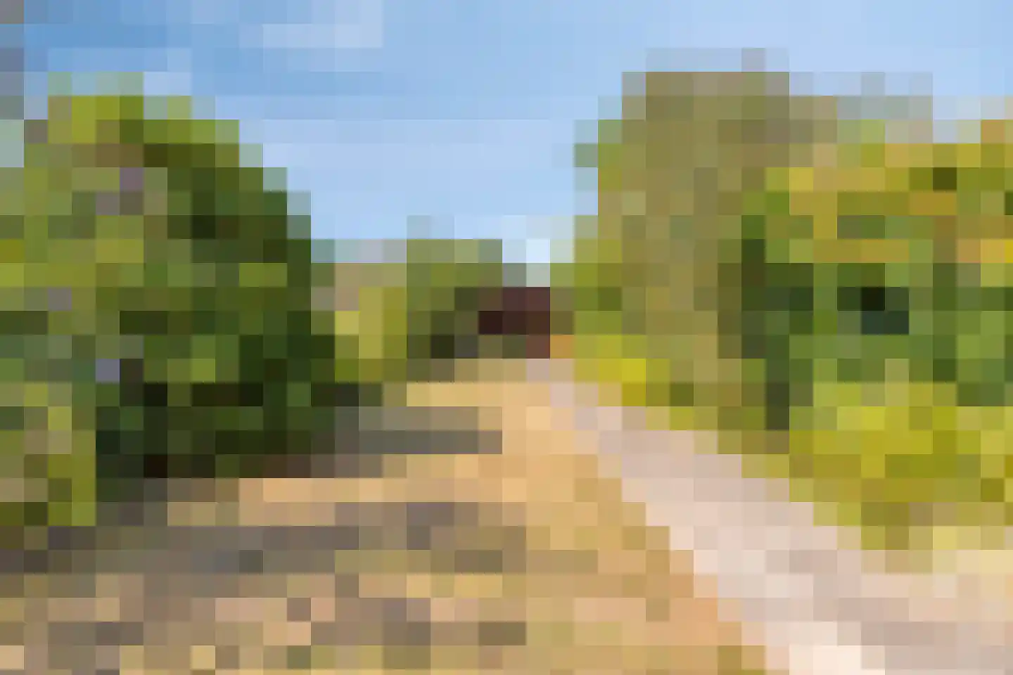 Scheldestraat 95 Goes thumbnail 5