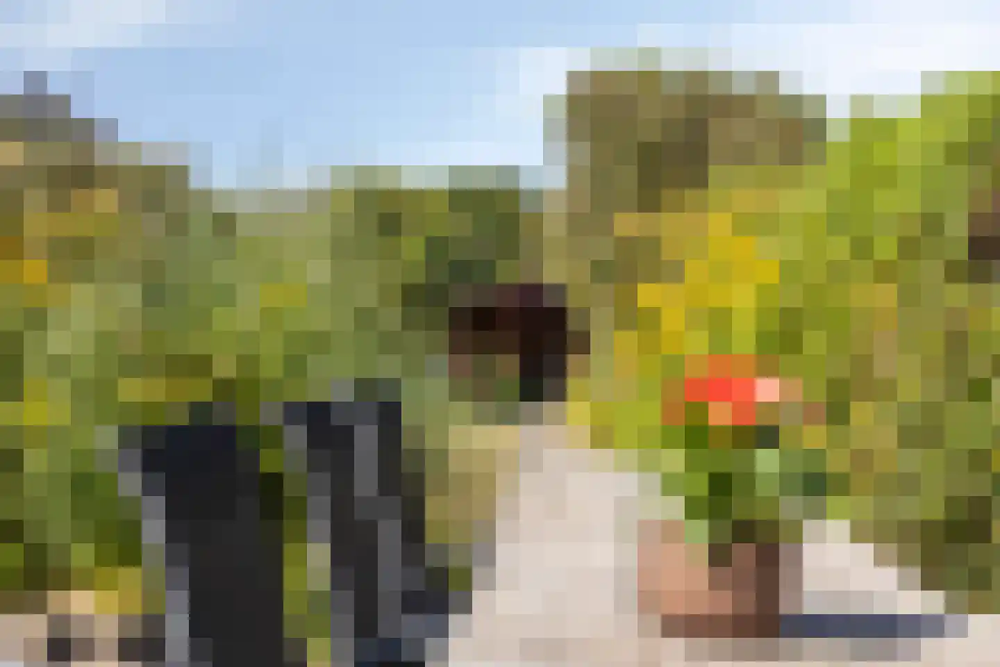 Scheldestraat 95 Goes thumbnail 51