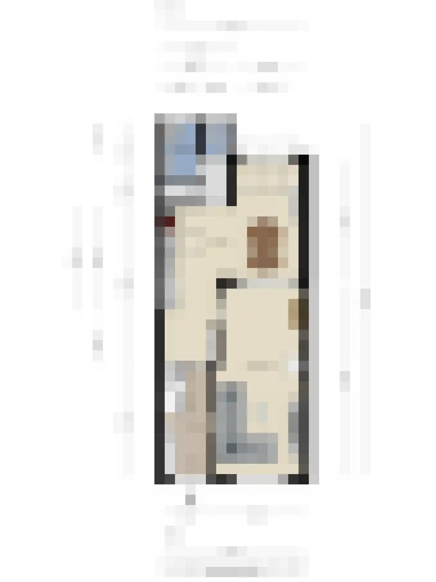 Scheldestraat 95 Goes thumbnail 56