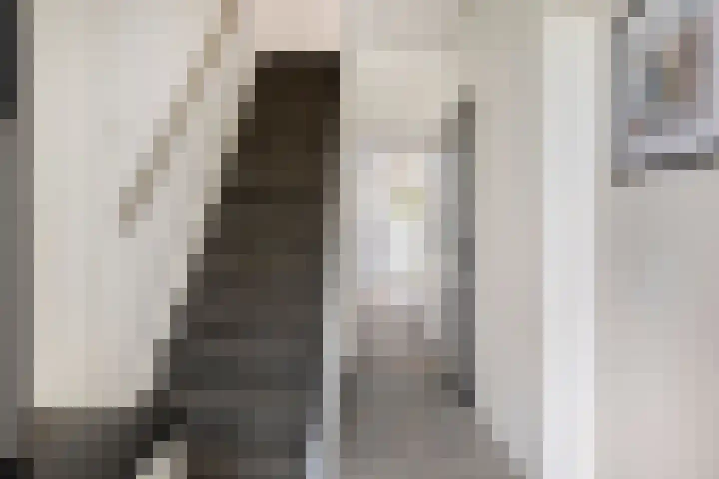Scheldestraat 95 Goes thumbnail 9