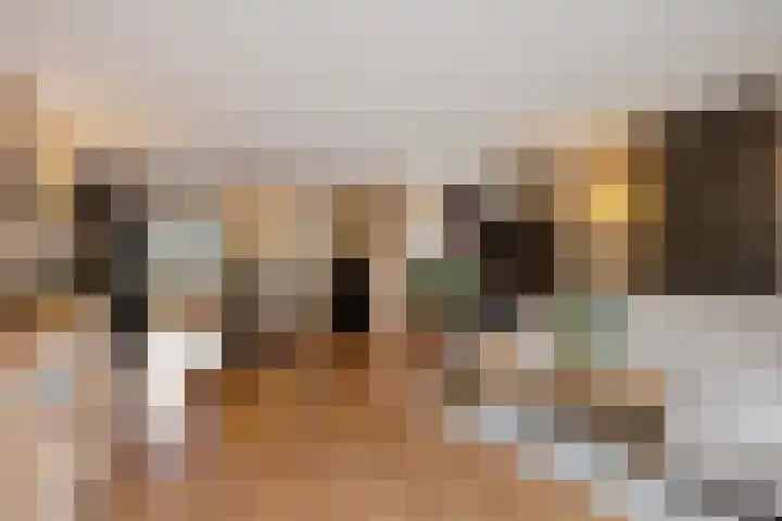 Scheldestroom 37 Zoetermeer thumbnail 10