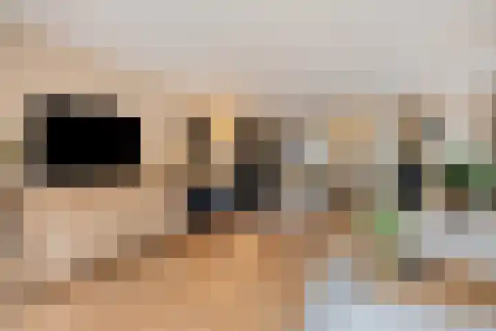 Scheldestroom 37 Zoetermeer thumbnail 11