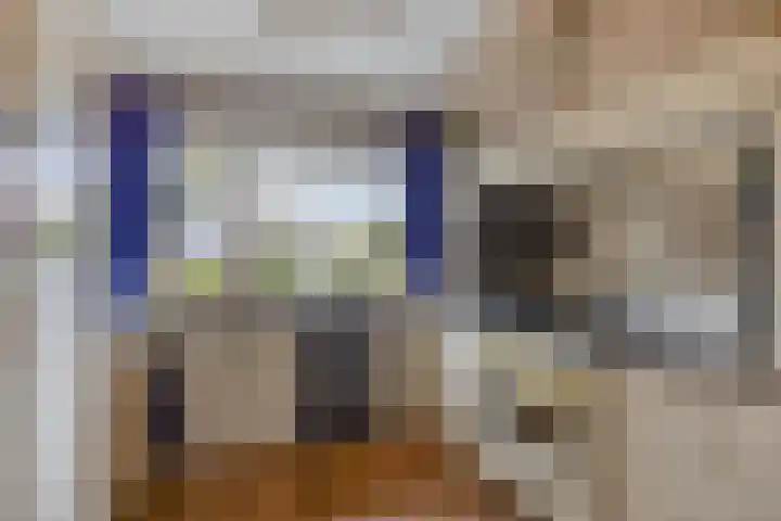 Scheldestroom 37 Zoetermeer thumbnail 13