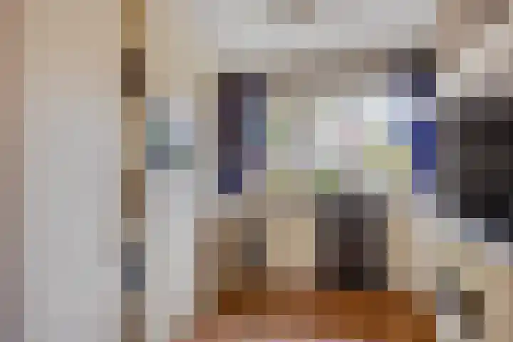 Scheldestroom 37 Zoetermeer thumbnail 14